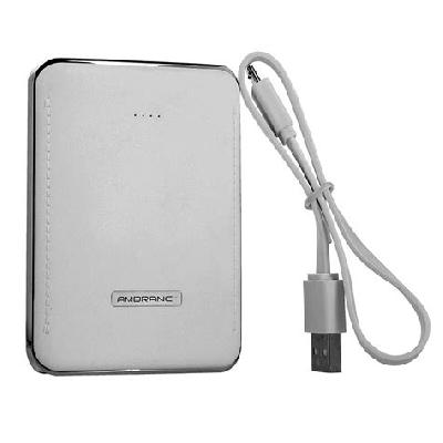 P-1001 Ambrane Power Bank