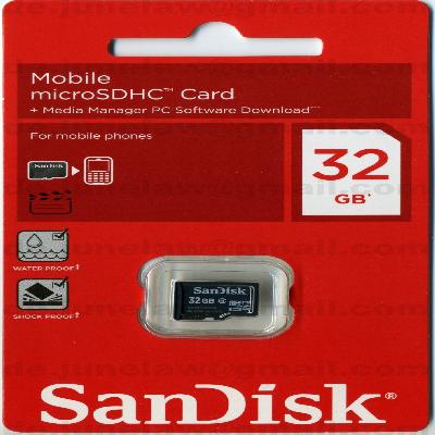 SanDisk 32 GB Micro SD Card