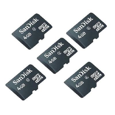 Sandisk 4 GB Micro SD Card