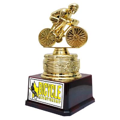 fiber trophy