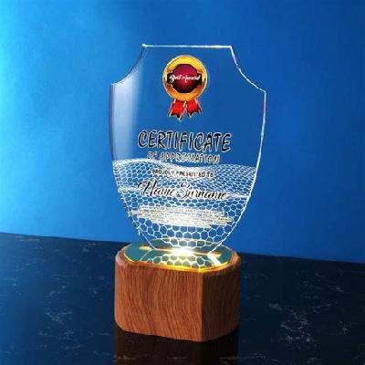 Fiber Trophy 