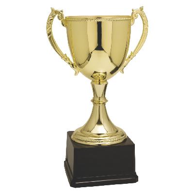 Metal Trophy 