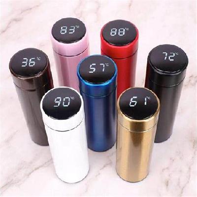 Temperature Water Bottle