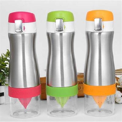 Fruit Infuser Steel Water Bottle