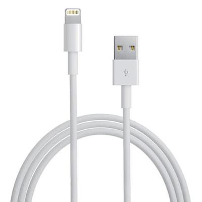 Apple iPhone Lightning To USB Cable