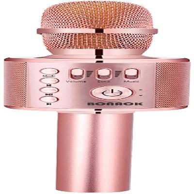 Portable Wireless Bluetooth Karaoke Microphone