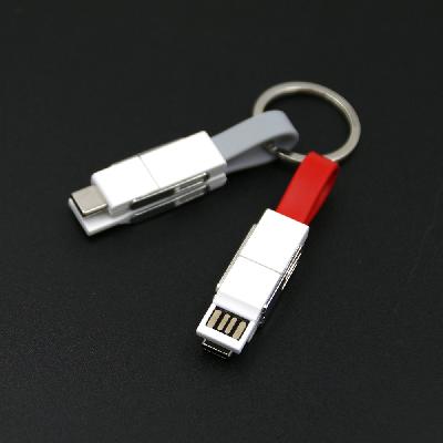 4 in 1 Keychain