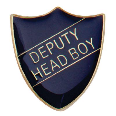 School Metal Badges