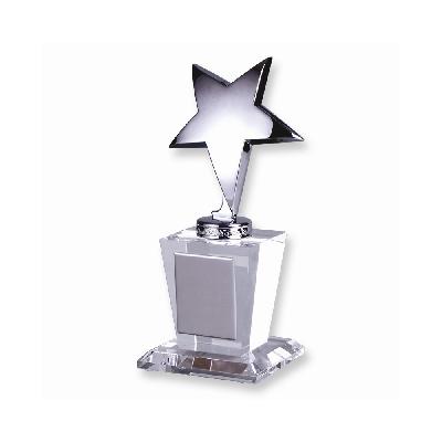 Designer Star Trophy