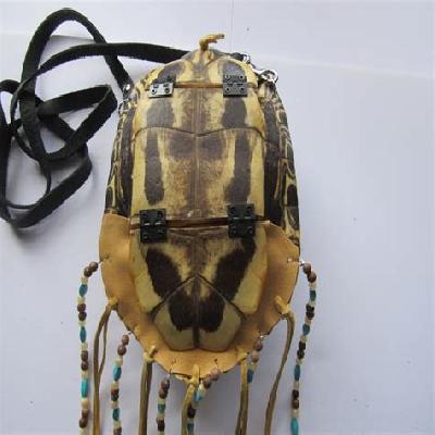 Turtle Shell Bag