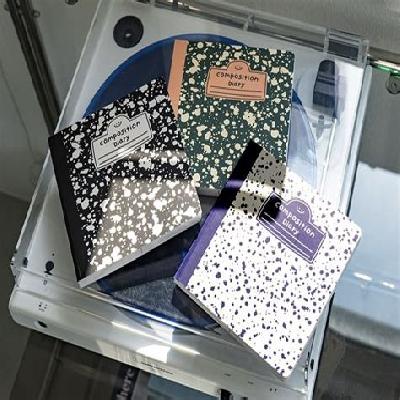  Dairy Book