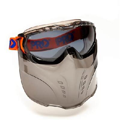Goggle face shield