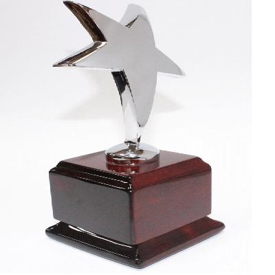 Corporate Star Trophy