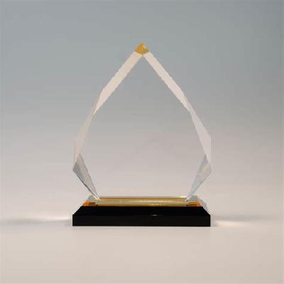Customized Acrylic Trophy