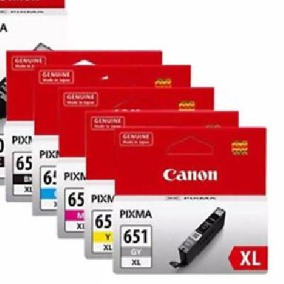 Canon 5X Genuine Ink Cartridge