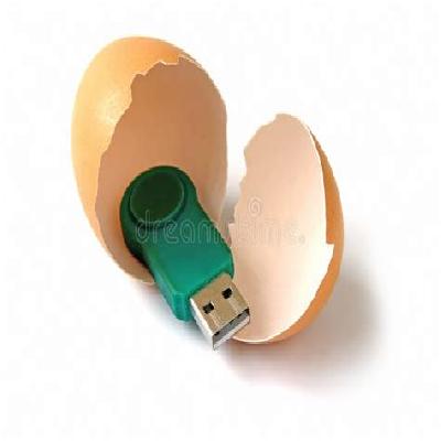 Wooden Egg USB Flash Drive