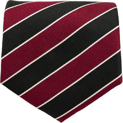 Stripped Necktie