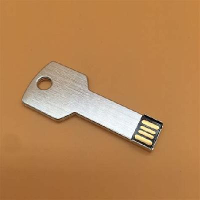Customized Fancy Aluminum Key Pen Drive