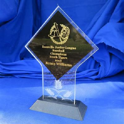Promotional Acrylic Trophy