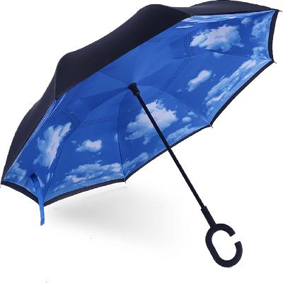 Reversible Umbrella