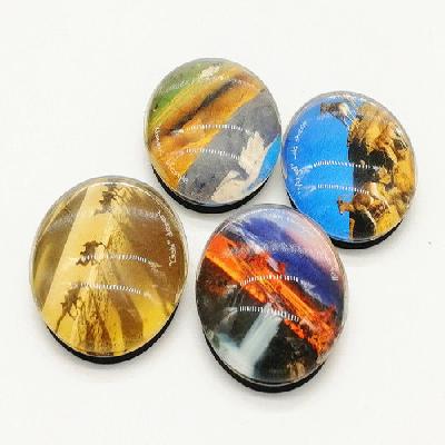 Round Fridge Magnet