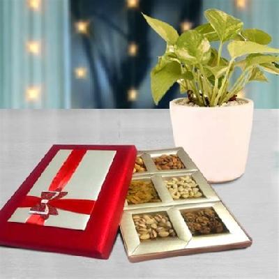 Designer Dry Fruit Box