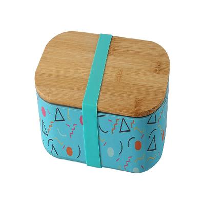 258 Plastic Promotional Lunch Box