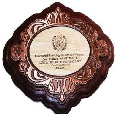 Promotional Wooden Mementos