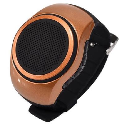 Bluetooth Anti Lost Speaker
