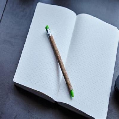 The Subsidiary - Bamboo Notebook