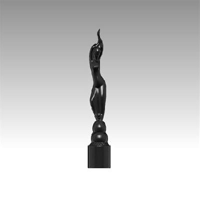 Filmfare Metal Trophies