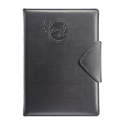Anupam Flynn Journal