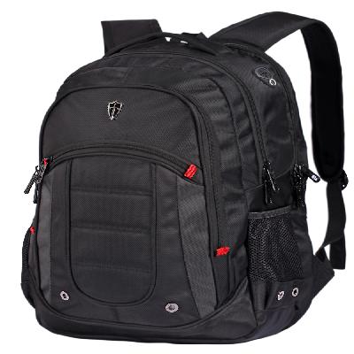 Backpack Laptop Bags