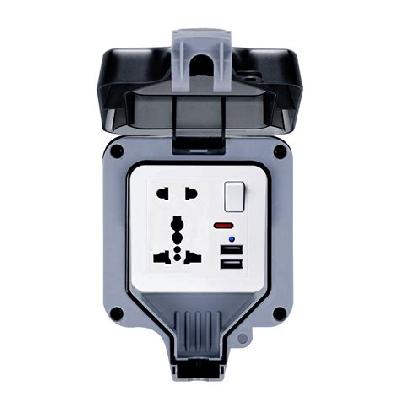 Dual Usb Universal Socket