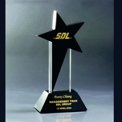 Acrylic Trophy IDF-267