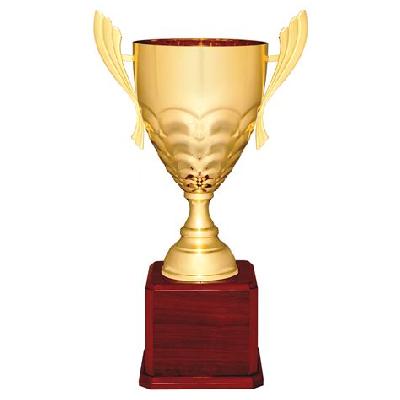 Award Cup