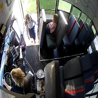 Iclear School Bus Dome Camera