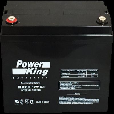 Power King CPU UPS Battery