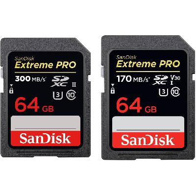 Sandisk Memory Cards