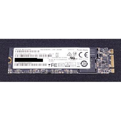 256 SANDISK M.2 (0EM)