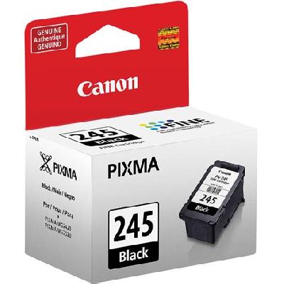 Canon Ink Cartridge