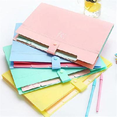 HARD CASE FILE FOLDER