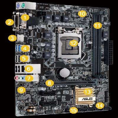 Asus Motherboard