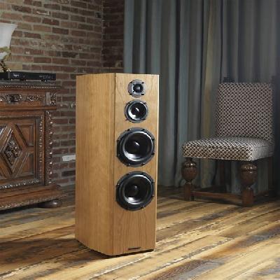 Floor Standing Speaker