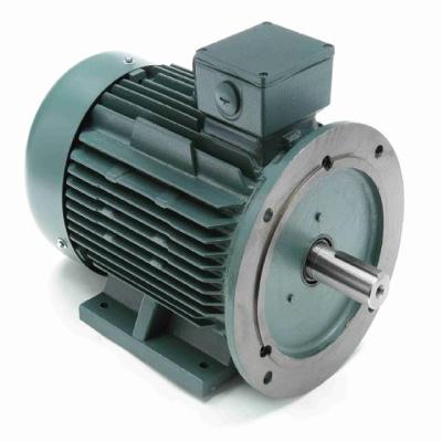 BBL Electric Motor