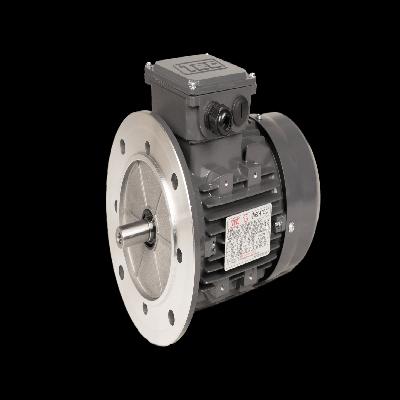 CG Electric Motor iE2