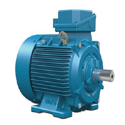CG Electric Motors G Series flench mountaid