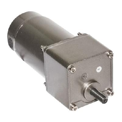Gear Head Motor