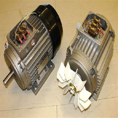 Fan Cooled Induction Motor