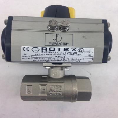 Rotex Pneumatic Actuator